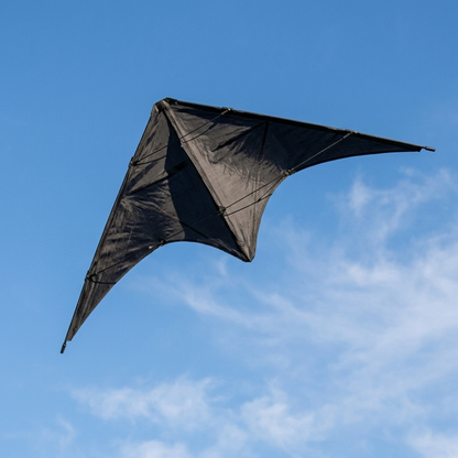 Wikz Delta Core Trickdrage i sort flyver på himlen