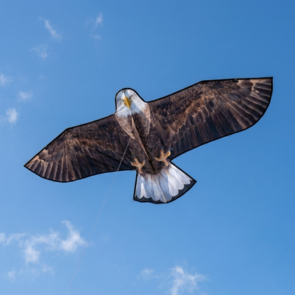 Wikz Ørn Drage Hvid/Brun flyver på himlen