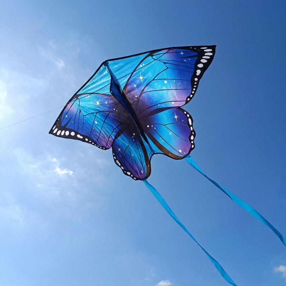 Wikz Sommerfugl Pro drage i blå flyver på himlen